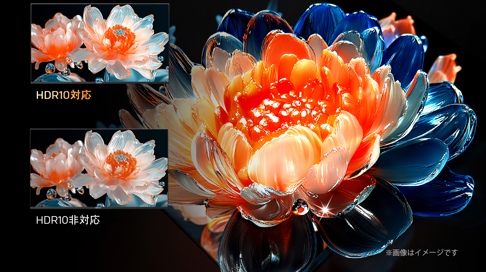 Dolby Audioシネマサウンド