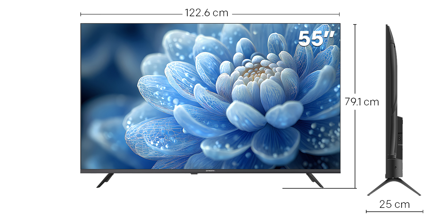 110°CS/地上デジタルハイビジョン液晶テレビ55G6600H